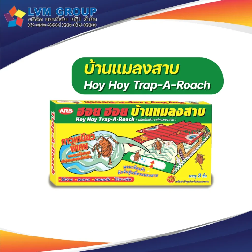บ้านแมลงสาบ ฮอย ฮอย (ARS) 1 ลัง (72 หลัง)