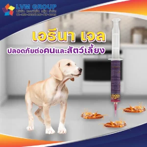 เจลกำจัดแมลงสาบ เอธีนา เจล